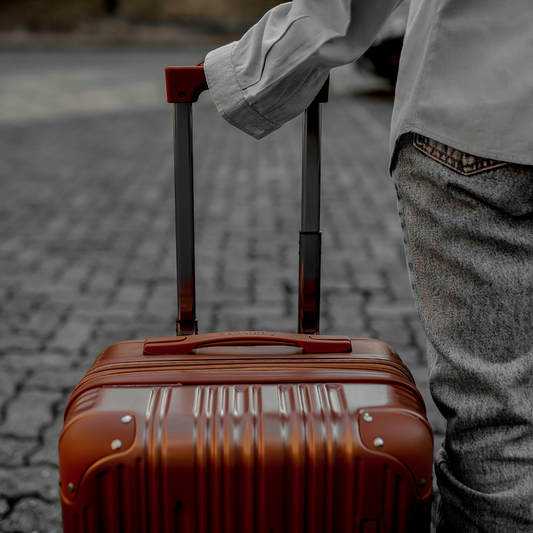 Bed Bugs on the Rise: What Every Traveler Needs to Know