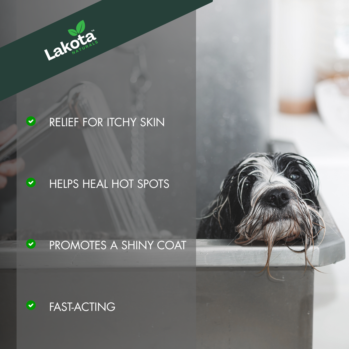 ITCH RELIEF SHAMPOO FOR DOGS - 16 OZ