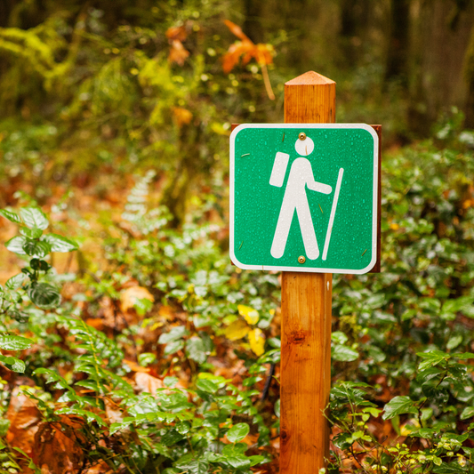Why Are Ticks So Bad This Year? What Homeowners Need to Know This Summer.