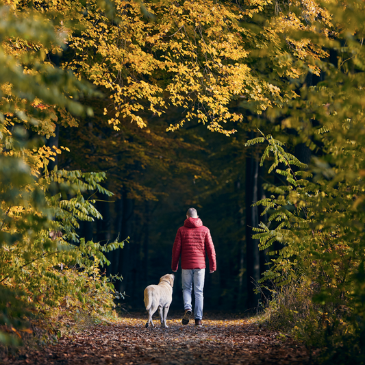 Ticks Don’t Stop in the Fall: How to Protect Your Dog on Fall Hikes & Hunting Trips