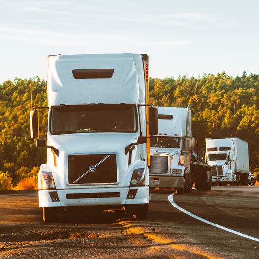 How to Get Rid of Bed Bugs in Truck Sleeper Cabs and RV's