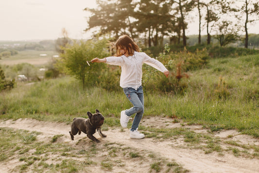 Mosquito Protection for Pets and Families: Natural Solutions That Work