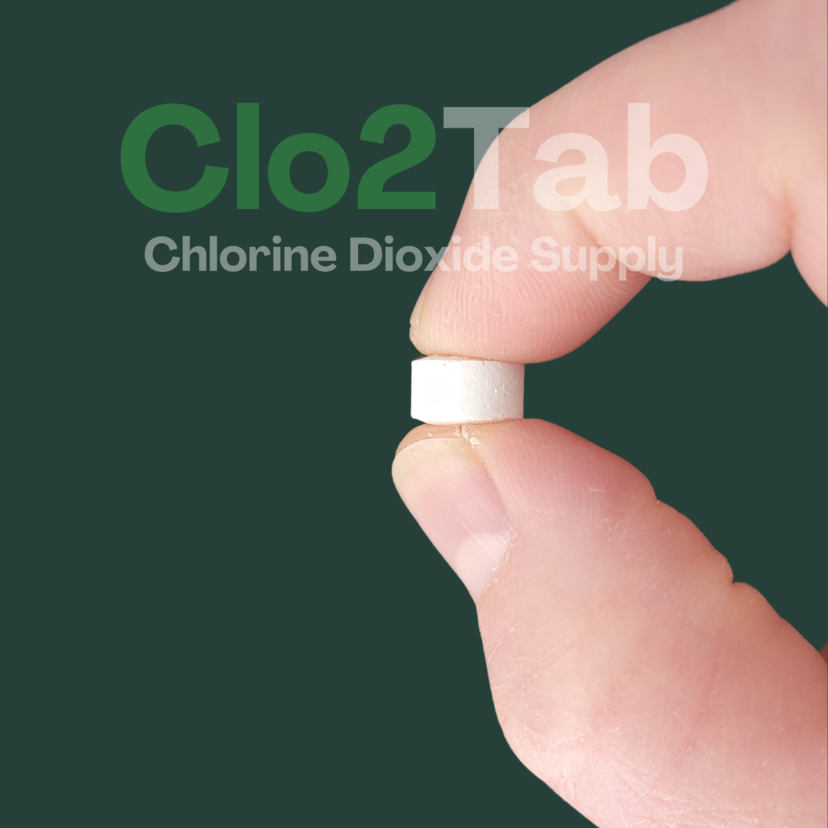 CLO2-TABS Odor Eliminating Chlorine Dioxide Tablets - 500 x 1g (1.1 Pound) Best Value!