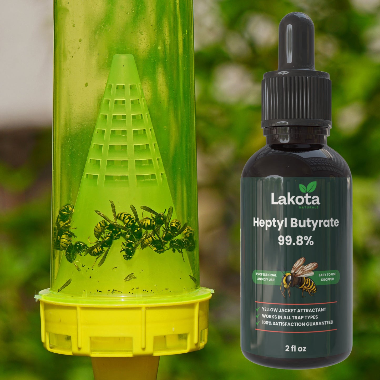 HEPTYL BUTYRATE YELLOW JACKET WASP ATTRACTANT - 2 OZ