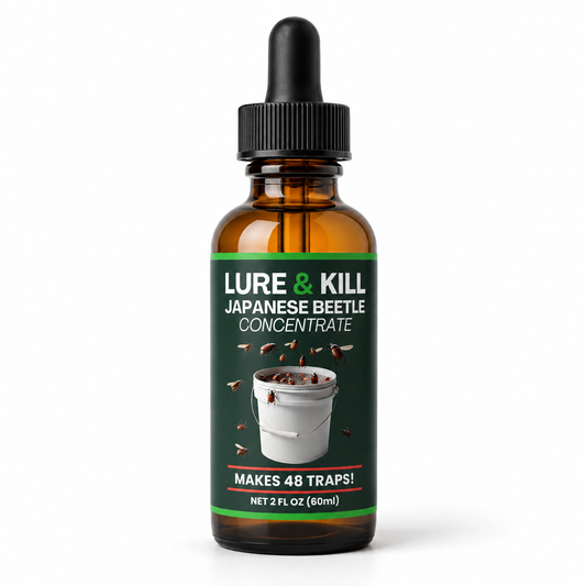JAPANESE BEETLE LURE & KILL CONCENTRATE - 2 OZ