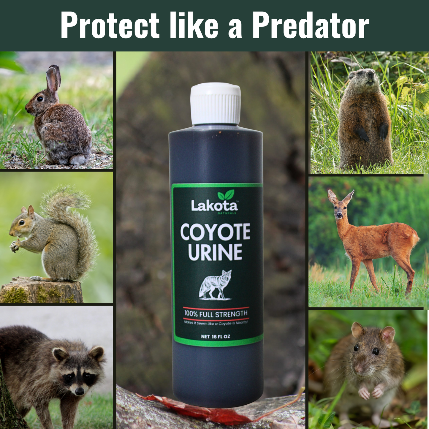100% PURE COYOTE URINE ANIMAL REPELLENT - 16 OZ